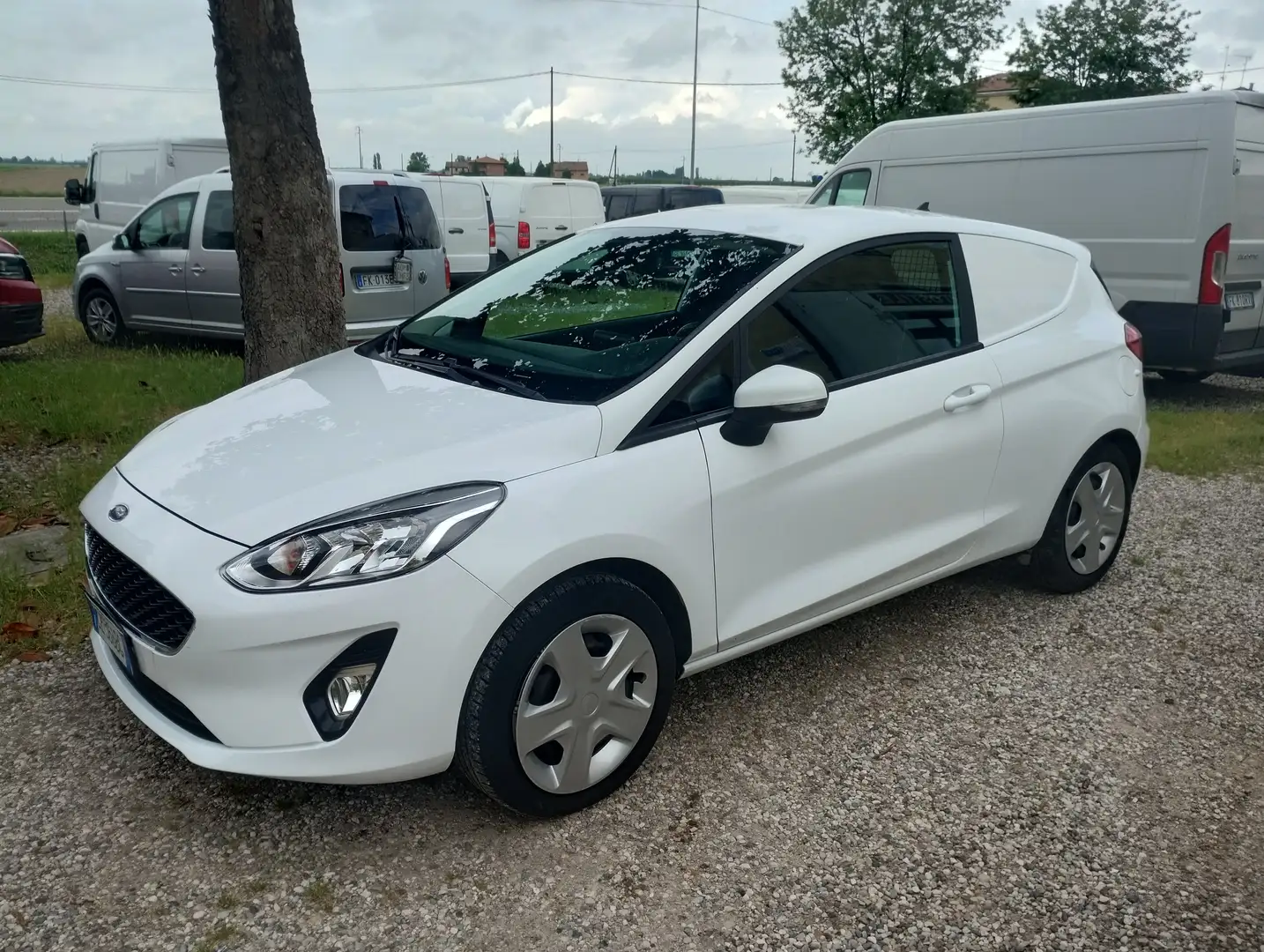 Ford Fiesta 1.5 TDCi 85 CV 3 porte Van Trend Bianco - 2