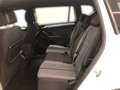 SEAT Tarraco 2,0 TDI Style DSG 4Dri Weiß - thumbnail 6