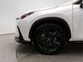 Lexus NX 450h+ Executive 4WD - thumbnail 16
