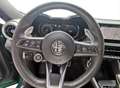 Alfa Romeo Tonale Tonale 1.5 160 CV MHEV TCT7 Edizione Speciale Vert - thumbnail 13