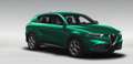 Alfa Romeo Tonale Tonale 1.5 160 CV MHEV TCT7 Edizione Speciale Vert - thumbnail 15