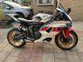 Yamaha YZF-R7 60th anniversary 35KW Alb - thumbnail 2
