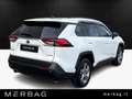 Toyota RAV 4 2.5 HV (218CV) E-CVT 2WD Active Weiß - thumbnail 2