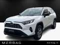 Toyota RAV 4 2.5 HV (218CV) E-CVT 2WD Active Weiß - thumbnail 1
