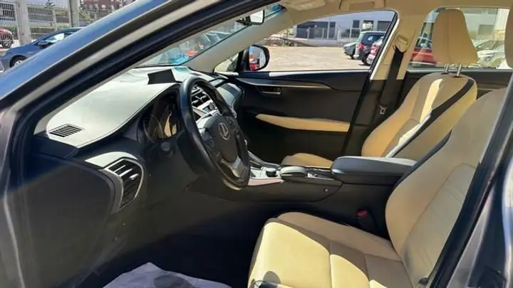 Lexus NX 300h Executive 4WD Tecno 2016, foto 11