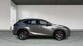 Lexus NX 300 300h Executive 4WD Tecno Gris - thumbnail 6