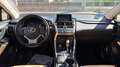 Lexus NX 300 300h Executive 4WD Tecno Gris - thumbnail 12