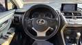Lexus NX 300 300h Executive 4WD Tecno Gris - thumbnail 14