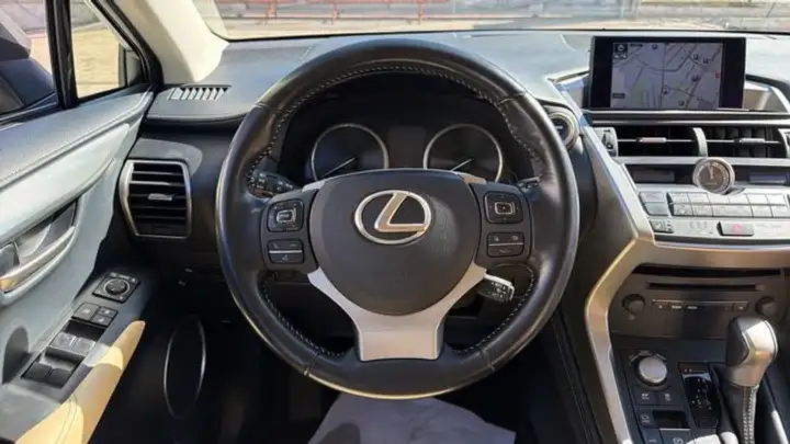 Lexus NX 300h Executive 4WD Tecno 2016, foto 14