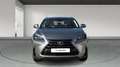 Lexus NX 300 300h Executive 4WD Tecno Gris - thumbnail 4