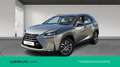 Lexus NX 300 300h Executive 4WD Tecno Gris - thumbnail 1