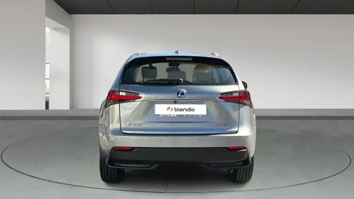 Lexus NX 300h Executive 4WD Tecno 2016, foto 8