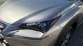 Lexus NX 300 300h Executive 4WD Tecno Gris - thumbnail 18