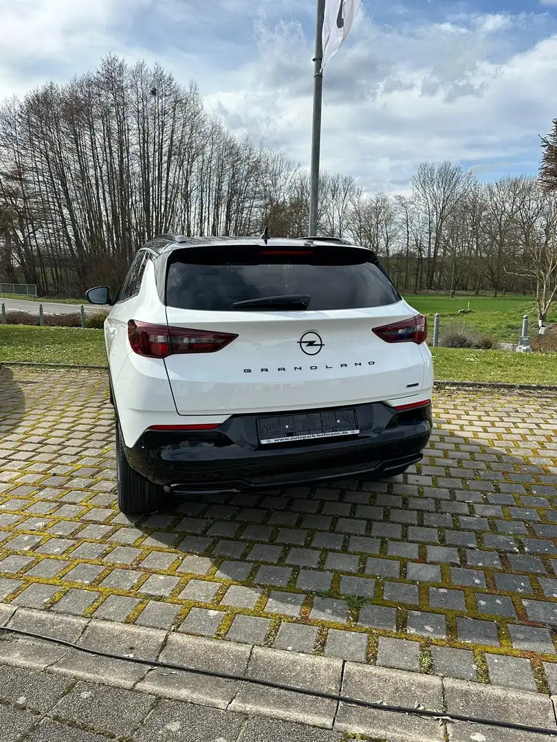 Opel Grandland Weiß - 2