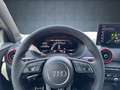 Audi SQ2 TFSI AHK/Matrix/Nav/sound/19"/Assist/SHZ/ASI Negru - thumbnail 10