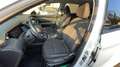 Hyundai TUCSON Tucson III 2021 1.6 t-gdi 48V Exellence 2wd imt Blanc - thumbnail 13