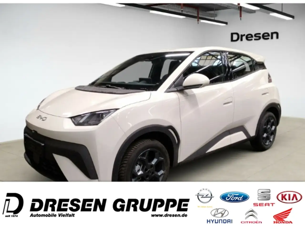 BYD Dolphin