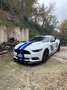 Ford Mustang Fastback 2.3 ecoboost 317cv auto Bianco - thumbnail 1