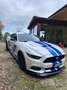 Ford Mustang Fastback 2.3 ecoboost 317cv auto Bianco - thumbnail 3
