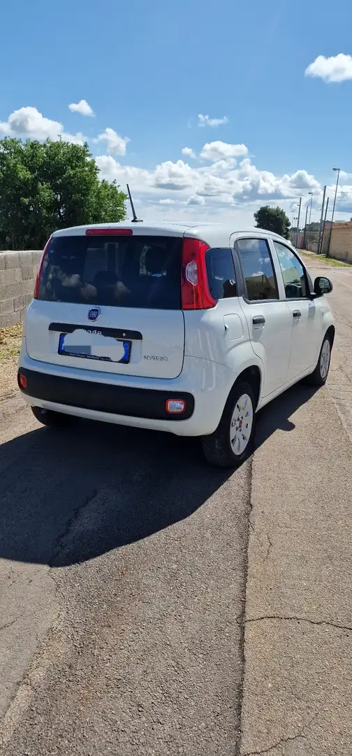 Fiat Panda 0.9 t.air t. Trussardi s&s 85cv - 2