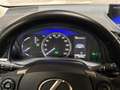 Lexus CT 200h Sport Automaat (GROOT NAVI, CAMERA, ALCANTARA, ADA Azul - thumbnail 18