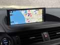 Lexus CT 200h Sport Automaat (GROOT NAVI, CAMERA, ALCANTARA, ADA Azul - thumbnail 8