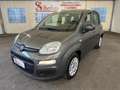 Fiat Panda 1.0 firefly hybrid s&s 70cv "OK NEOPATENTATI" Grigio - thumbnail 1