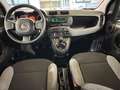 Fiat Panda 1.0 firefly hybrid s&s 70cv "OK NEOPATENTATI" Grigio - thumbnail 4