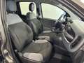 Fiat Panda 1.0 firefly hybrid s&s 70cv "OK NEOPATENTATI" Grigio - thumbnail 10