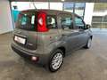 Fiat Panda 1.0 firefly hybrid s&s 70cv "OK NEOPATENTATI" Grigio - thumbnail 8