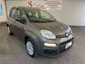 Fiat Panda 1.0 firefly hybrid s&s 70cv "OK NEOPATENTATI" Grigio - thumbnail 7