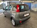 Fiat Panda 1.0 firefly hybrid s&s 70cv "OK NEOPATENTATI" Grigio - thumbnail 2