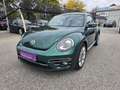 Volkswagen Beetle 2,0 TDI BMT Austria *PANO*EPH*NAVI* Grün - thumbnail 1