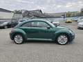 Volkswagen Beetle 2,0 TDI BMT Austria *PANO*EPH*NAVI* Grün - thumbnail 4