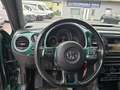 Volkswagen Beetle 2,0 TDI BMT Austria *PANO*EPH*NAVI* Grün - thumbnail 12