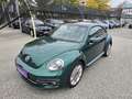Volkswagen Beetle 2,0 TDI BMT Austria *PANO*EPH*NAVI* Grün - thumbnail 15