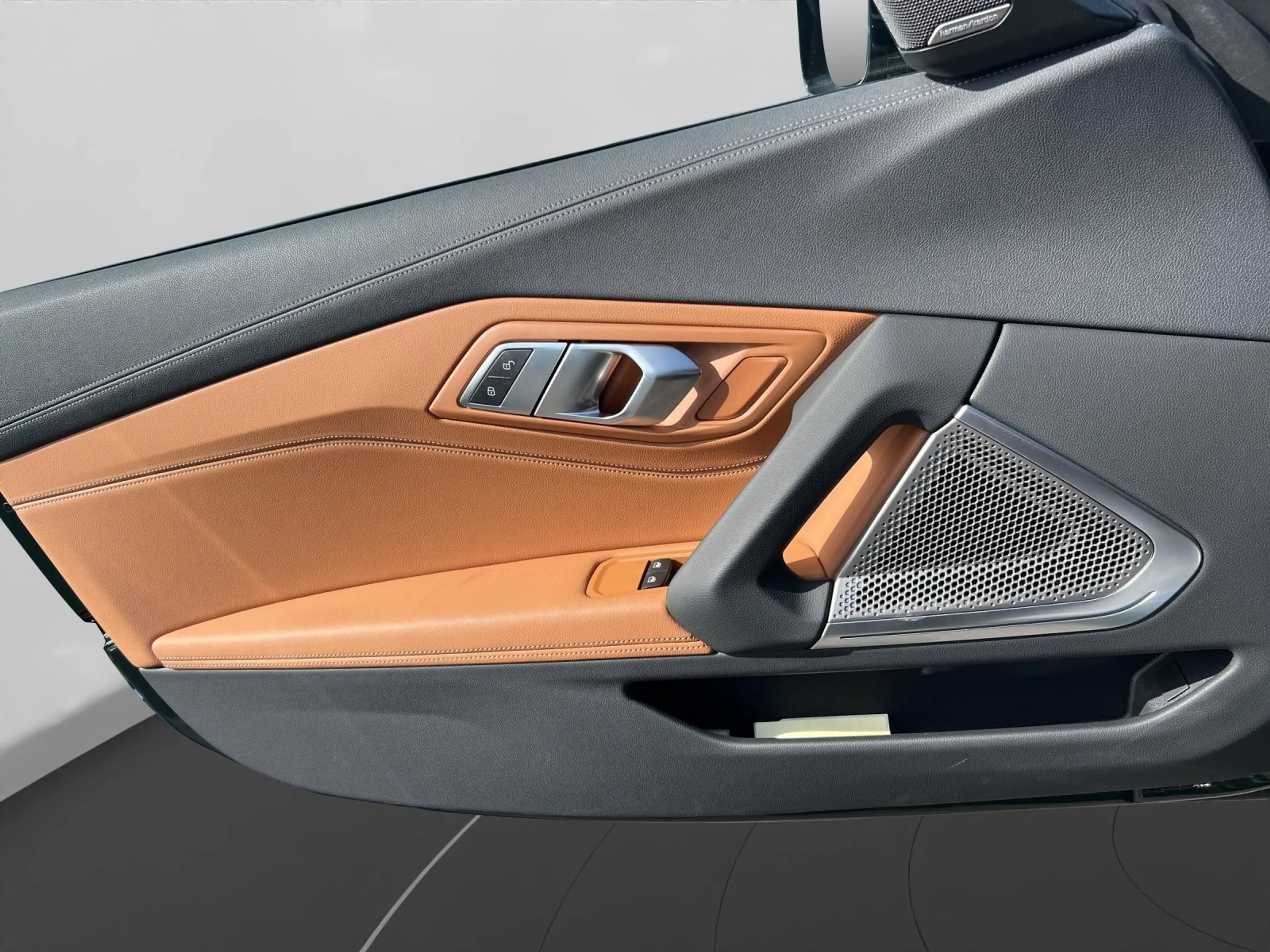 BMW Z4 M40i Head-Up HK HiFi DAB LED WLAN Komfortzg. — photo 11