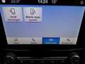 Ford Fiesta ST-Line Hybrid/Automatik/Winter-Paket Blauw - thumbnail 16