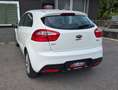 Kia Rio CLEAR WHITE Frisch Vorgeführt 06/2027 Weiß - thumbnail 9
