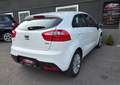 Kia Rio CLEAR WHITE Frisch Vorgeführt 06/2027 Weiß - thumbnail 7