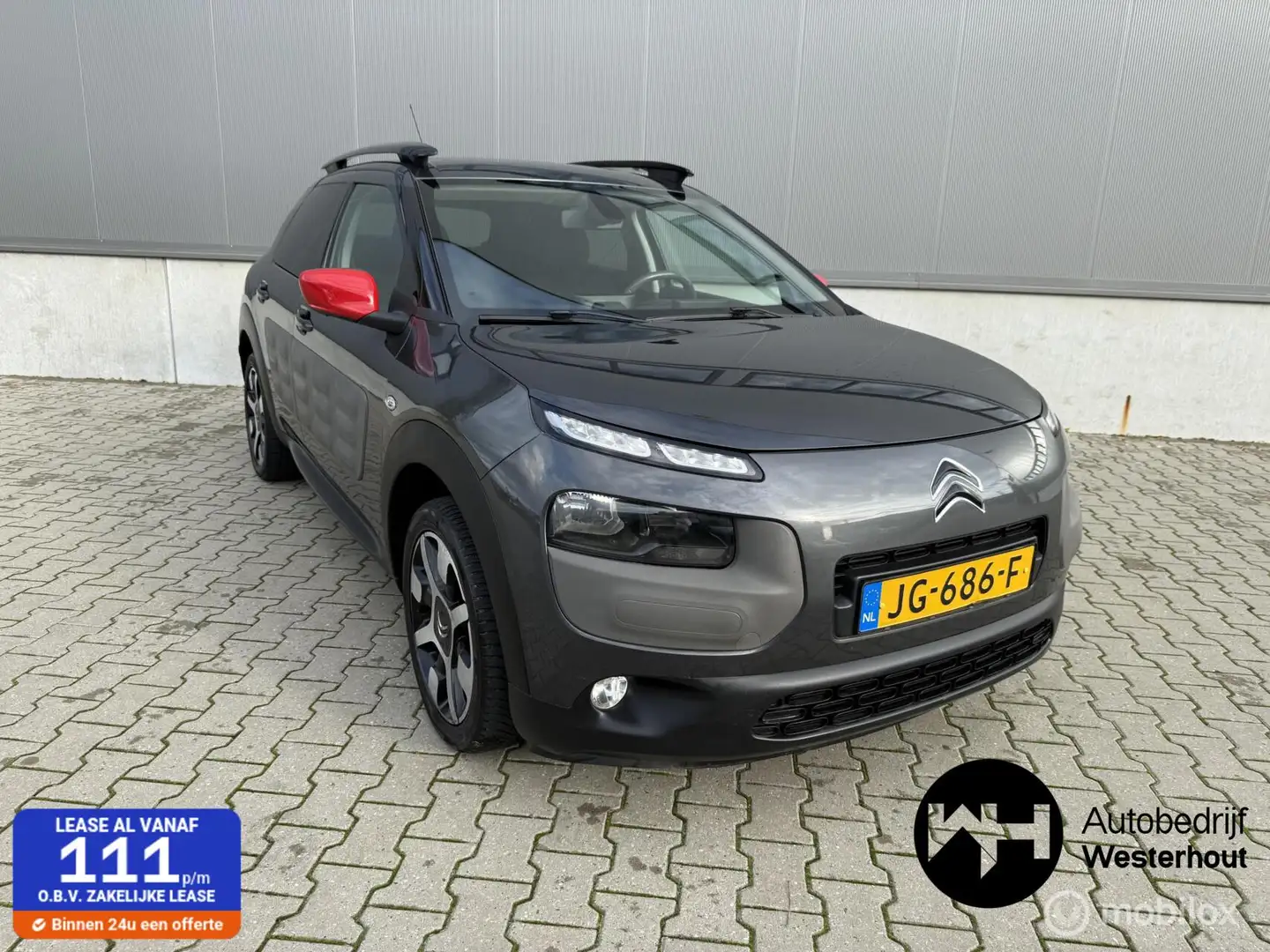 Citroen C4 Cactus 1.2 PureTech Business Plus PANO CAMERA Gris - 1