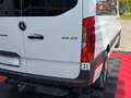Mercedes-Benz Sprinter III Tourer RWD/AWD 311/314/316 CDI RWD Blanco - thumbnail 16