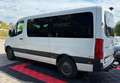 Mercedes-Benz Sprinter III Tourer RWD/AWD 311/314/316 CDI RWD Blanco - thumbnail 12