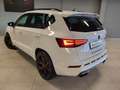 CUPRA Ateca 2.0 TSI DSG 4Drive *AHK*Panor.*SHZ*MwSt.* Weiß - thumbnail 4