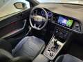 CUPRA Ateca 2.0 TSI DSG 4Drive *AHK*Panor.*SHZ*MwSt.* Weiß - thumbnail 10
