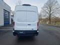 Ford Transit Kasten 350 L4 Trend TÜV NEU 1HAND Bianco - thumbnail 7