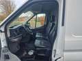 Ford Transit Kasten 350 L4 Trend TÜV NEU 1HAND Bianco - thumbnail 11