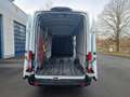 Ford Transit Kasten 350 L4 Trend TÜV NEU 1HAND Bianco - thumbnail 10