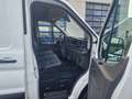 Ford Transit Kasten 350 L4 Trend TÜV NEU 1HAND Bianco - thumbnail 13