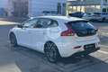 Volvo V40 V40 T2 Momentum Bianco - thumbnail 7